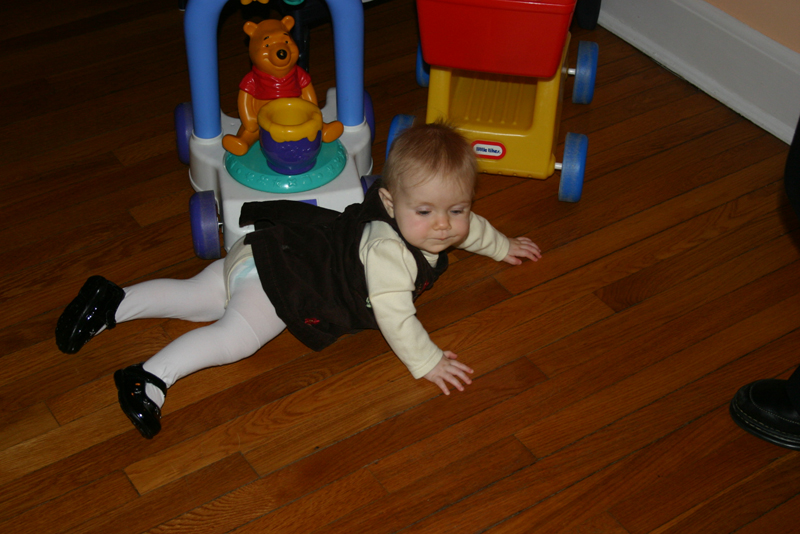 Picture 537