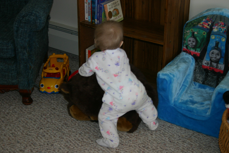 Picture 536