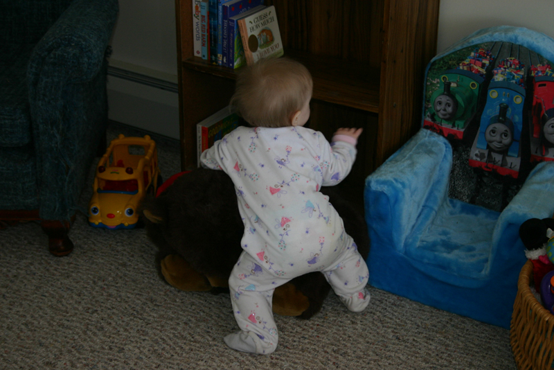 Picture 537