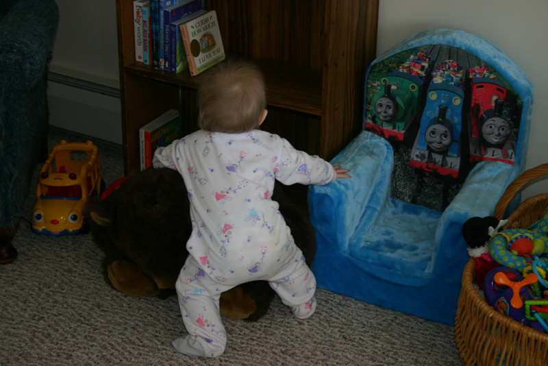 Picture 538