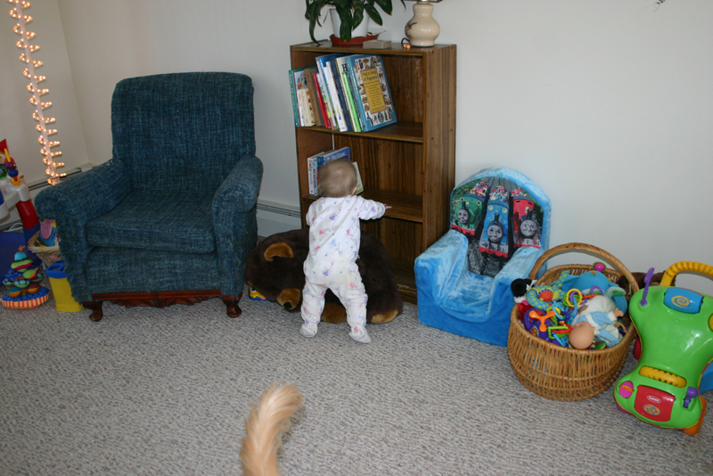 Picture 558