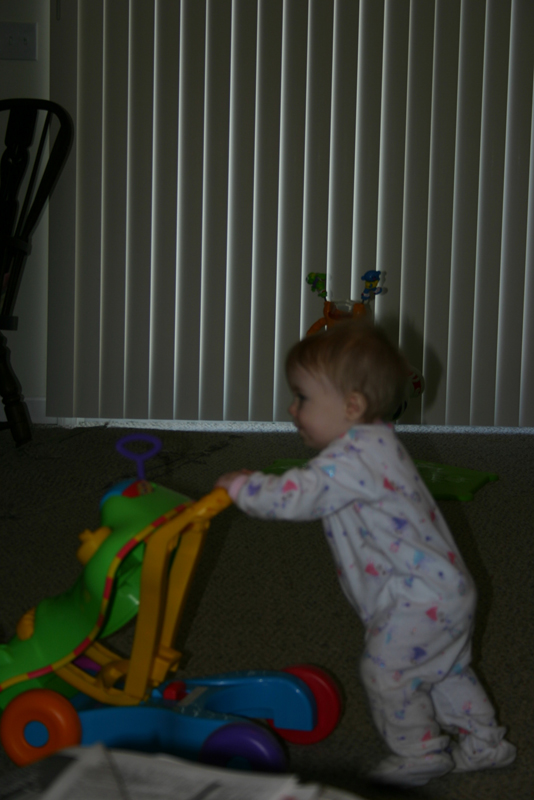 Picture 459