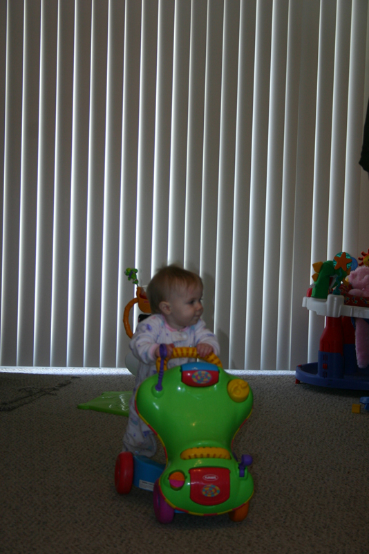 Picture 466