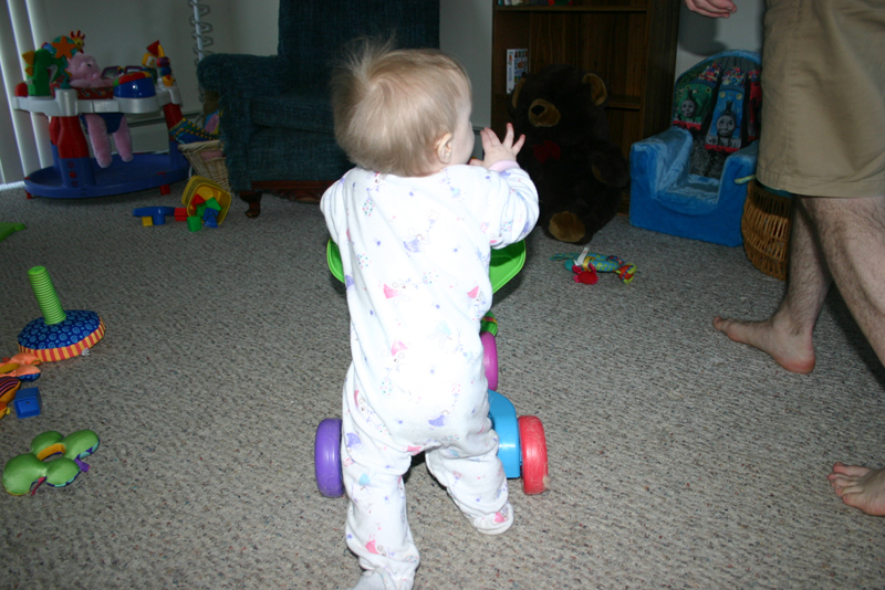 Picture 493