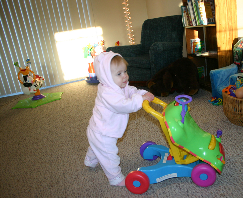 Picture 594