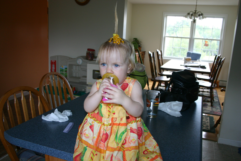 Picture 5441