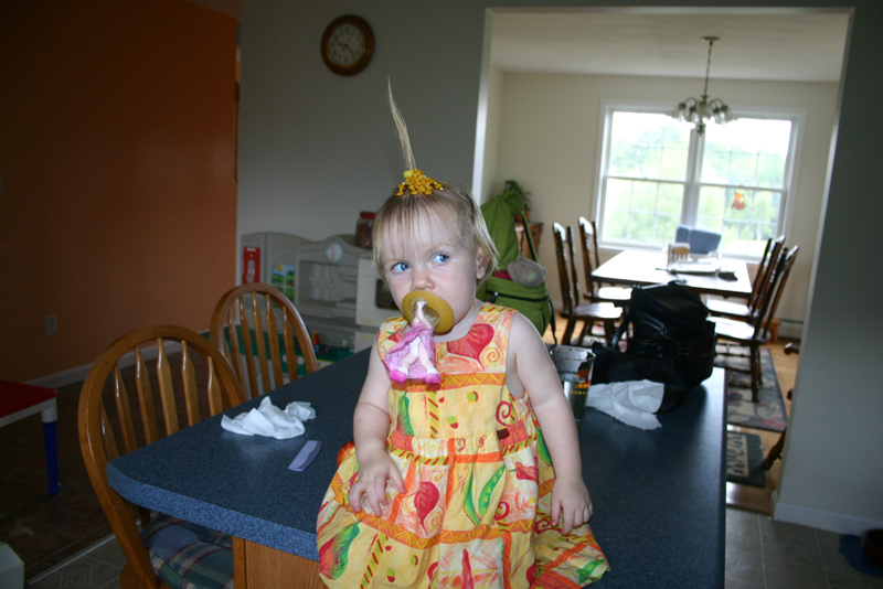Picture 5442
