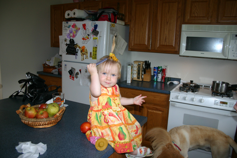 Picture 5445