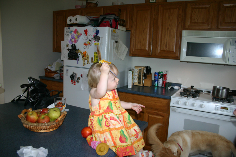 Picture 5446