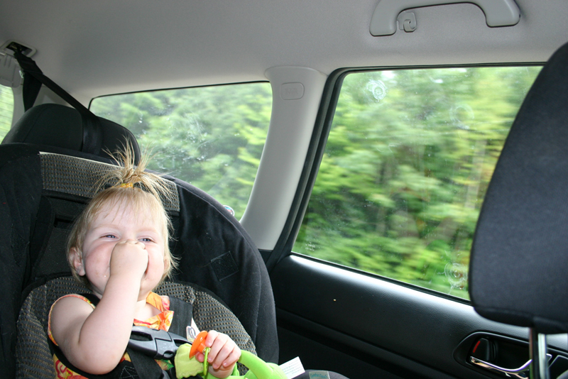 Picture 5456