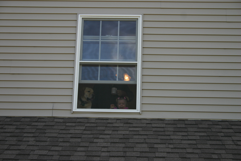 Picture 5621
