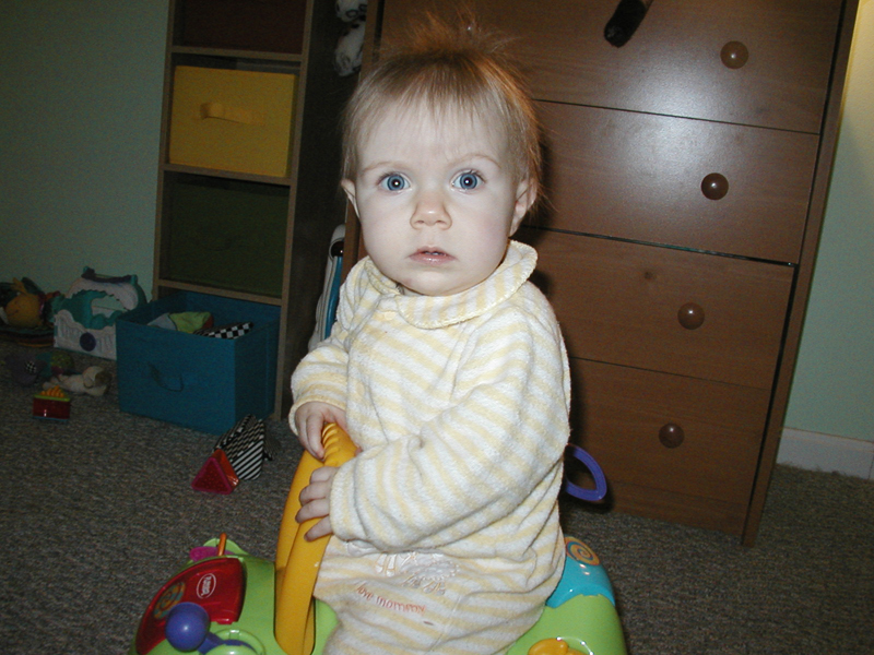 Picture 2219