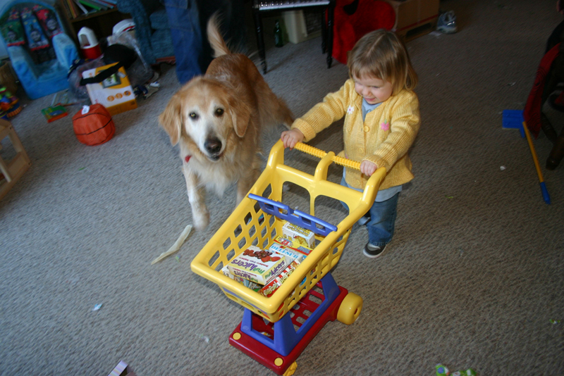 Picture 9653