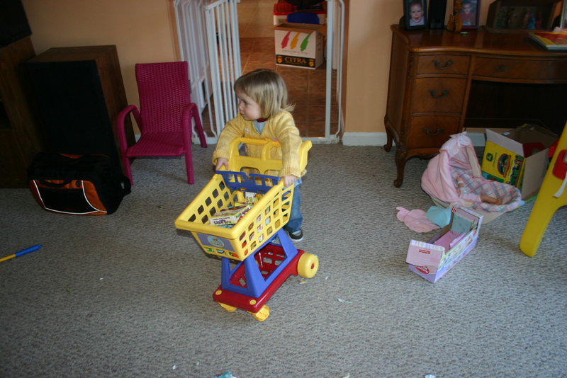 Picture 9656
