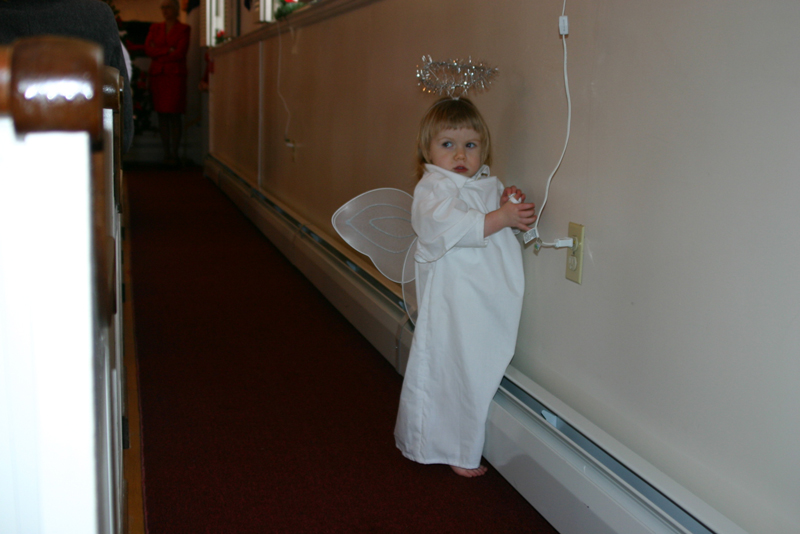 Picture 9496