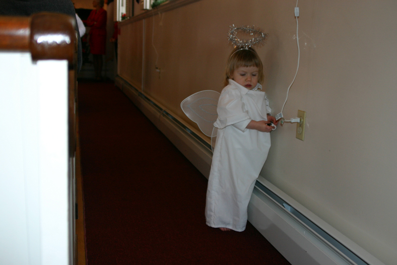 Picture 9501