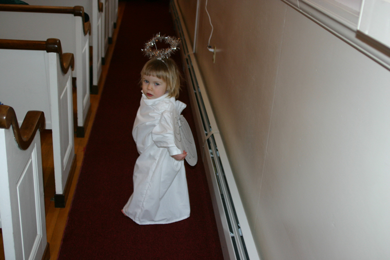 Picture 9503