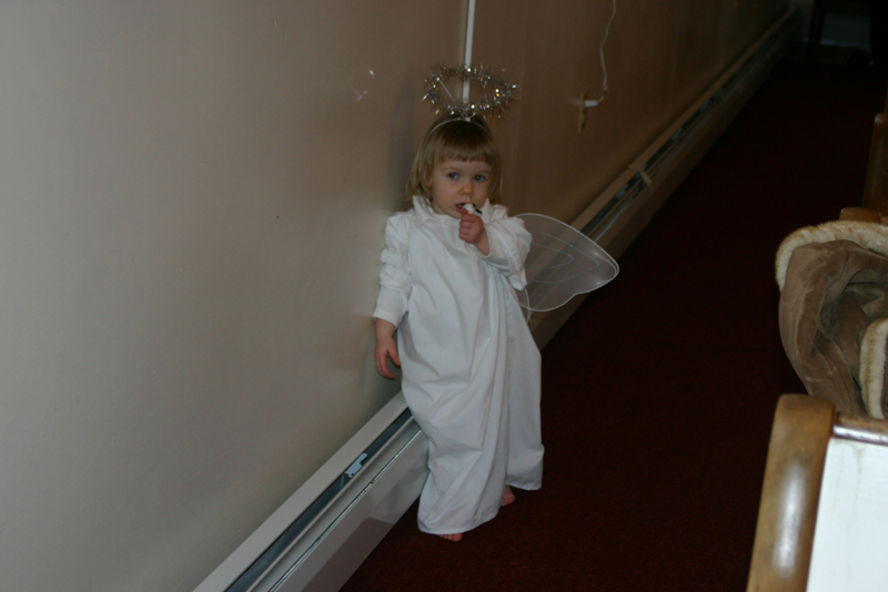 Picture 9511