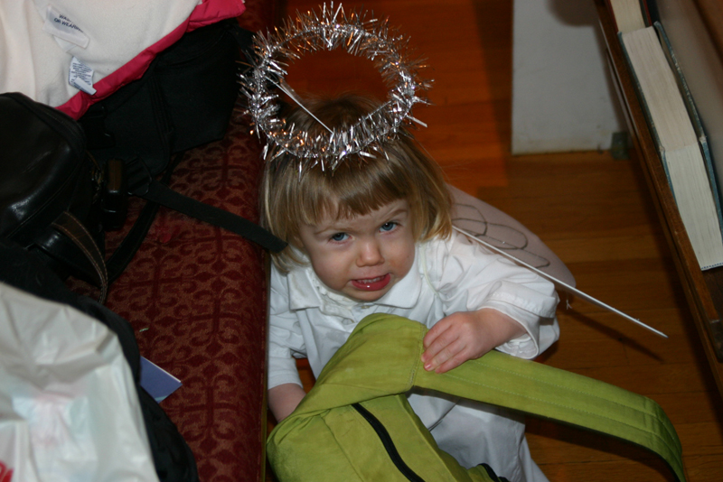Picture 9517