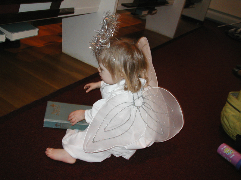 Picture 9564