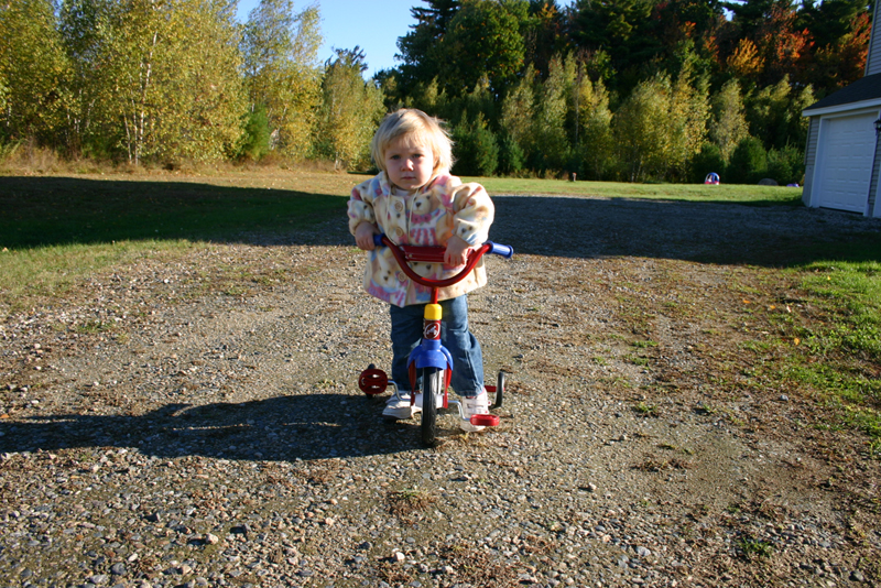 Picture 6932