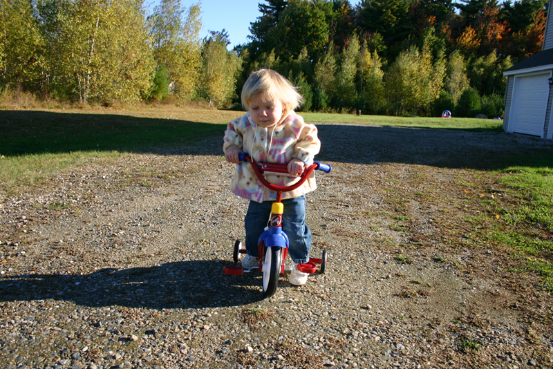Picture 6933