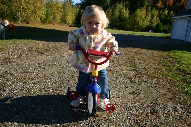 Picture 6934