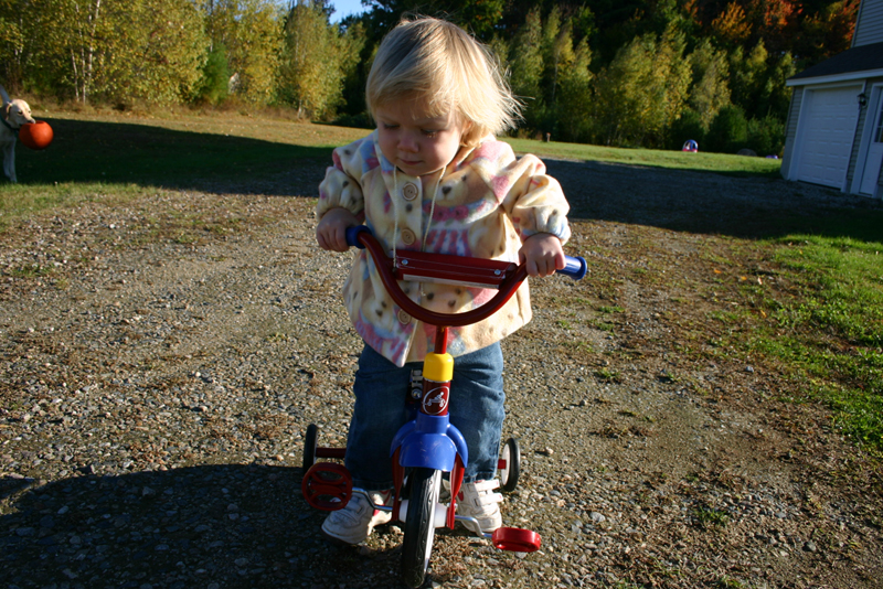Picture 6935