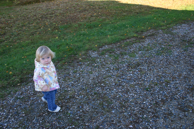 Picture 6940