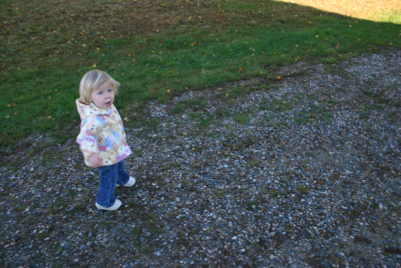 Picture 6941