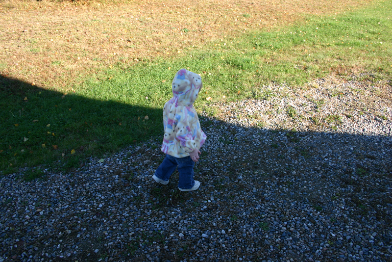 Picture 6942