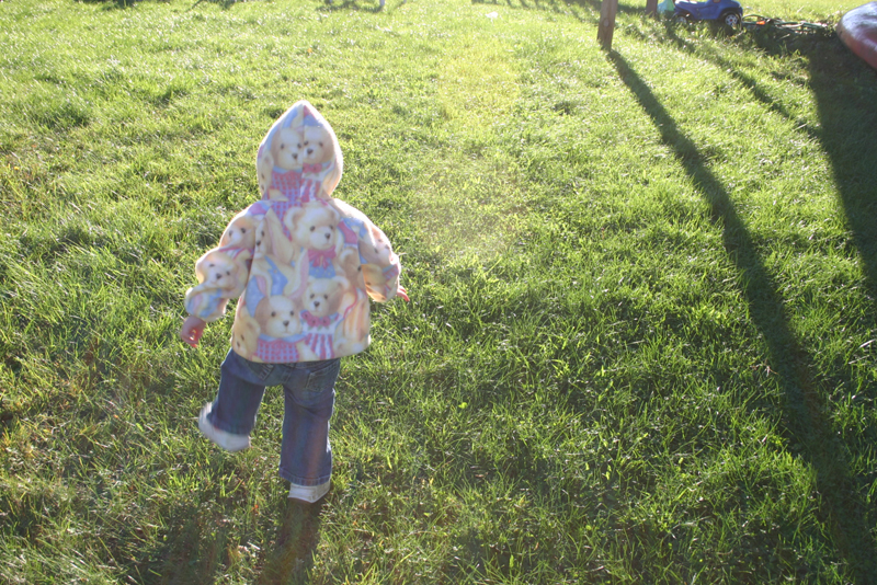 Picture 6946