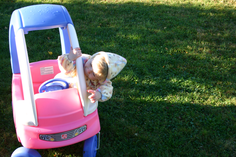 Picture 6954