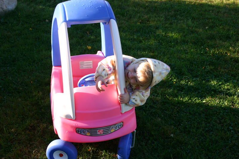 Picture 6955