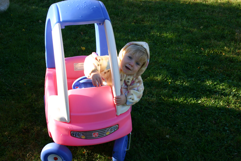 Picture 6956