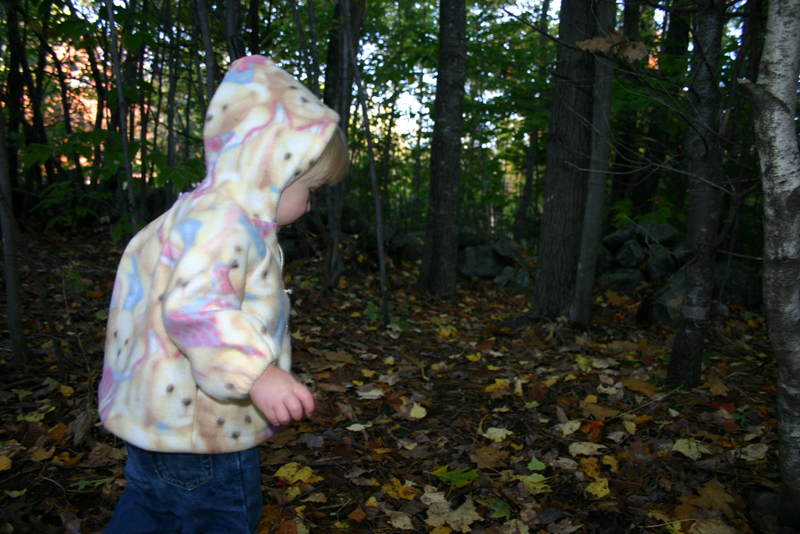 Picture 6958