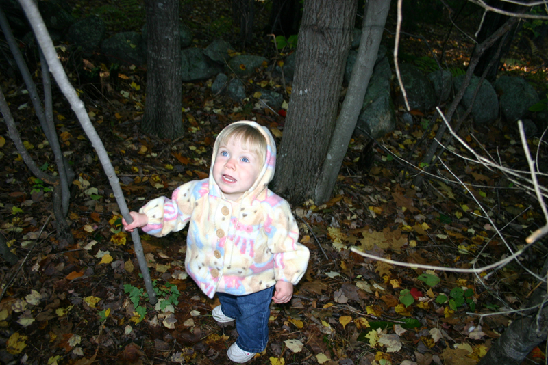 Picture 6959