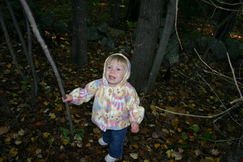 Picture 6960