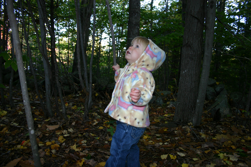 Picture 6962