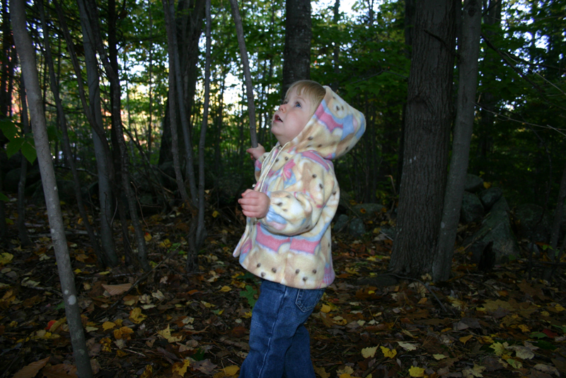 Picture 6963