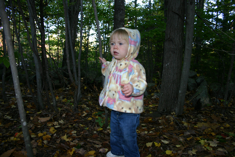 Picture 6965