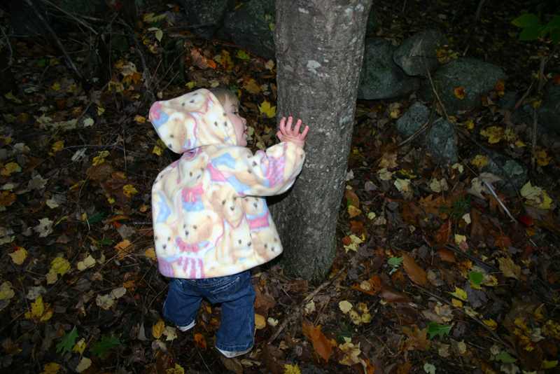 Picture 6967