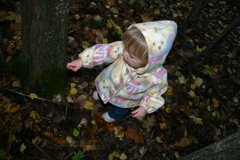 Picture 6974