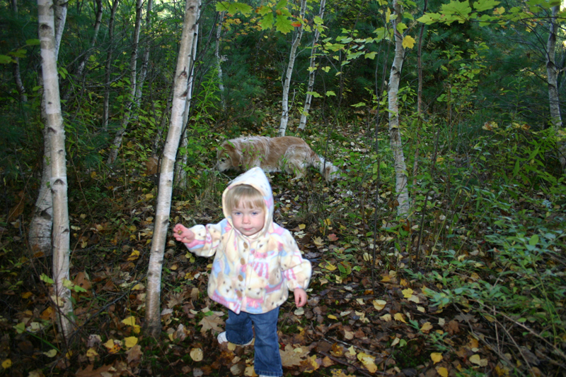 Picture 6977