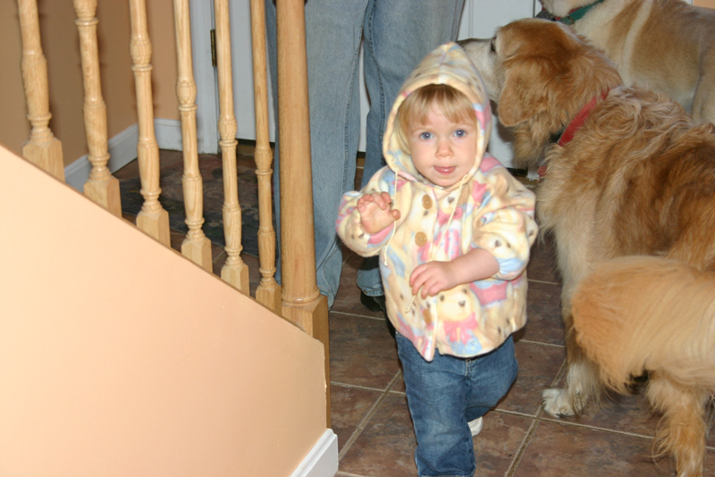 Picture 6981