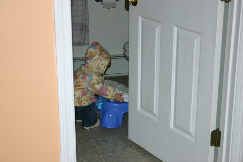 Picture 6982
