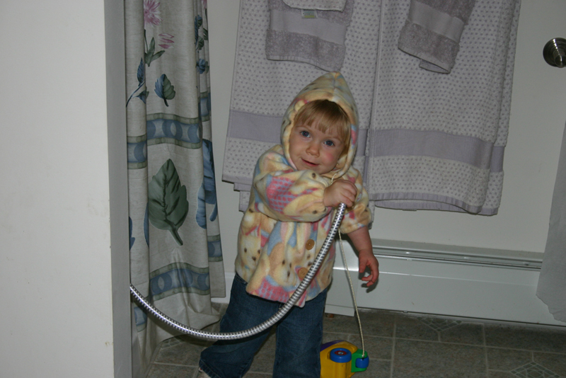 Picture 6985
