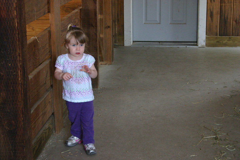 Picture 11868