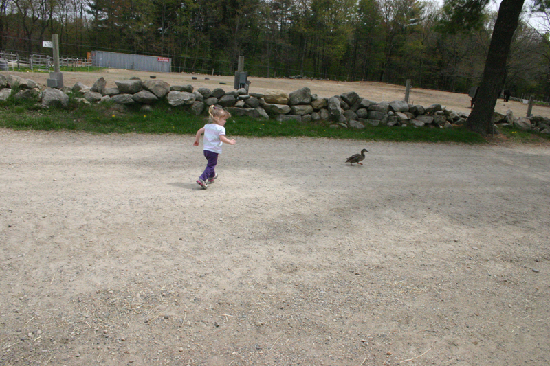 Picture 11876