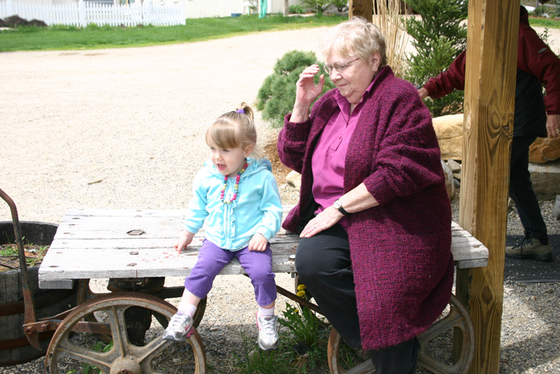 Picture 11956